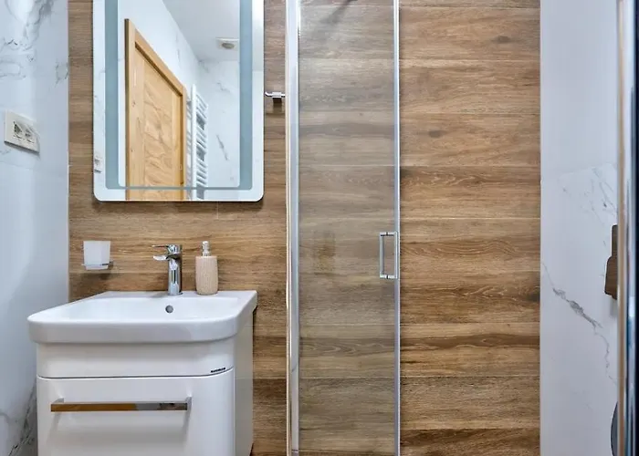 Todorovic 兹拉蒂博尔