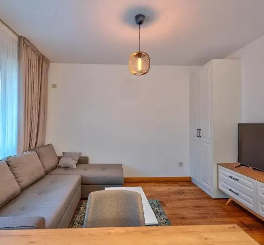 Todorovic 兹拉蒂博尔