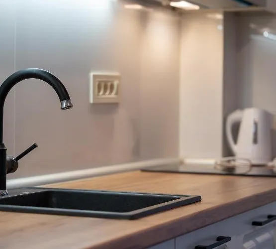 Todorovic 公寓 兹拉蒂博尔